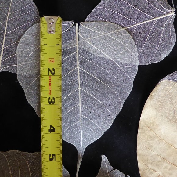 NEW NATURAL DRIED BODHI SKELETON FALL LEAF BOX DECOR SCRAPBOOK CRAFT ODDITY - Picture 4 of 7